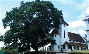 Inter Church Fellowship